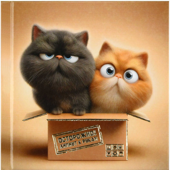 Блокнот «Коты в коробке»