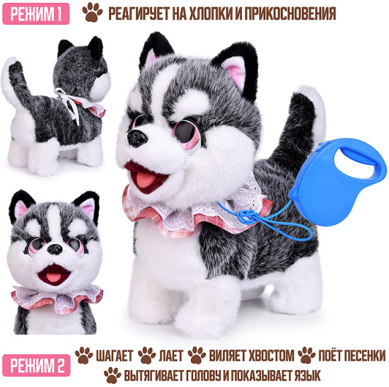 Собака «Дик»