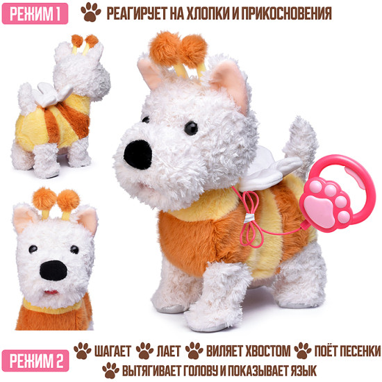 Собака «Рэй»