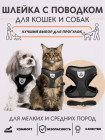 черный