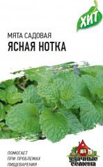 Семена. Мята садовая «Ясная нотка»