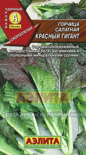 Семена. Горчица «Красный гигант», 0,5 г