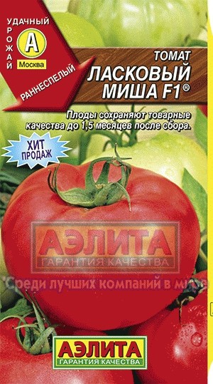 Семена. Томат «Ласковый Мишка F1», 0,05 г