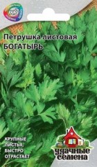 Семена. Петрушка листовая «Богатырь»