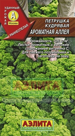 Семена. Петрушка кудрявая «Ароматная аллея» 2 г