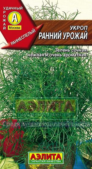 Семена. Укроп «Ранний урожай», 3 г