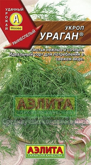 Семена. Укроп «Ураган» 3 г