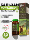 марал мүйізі