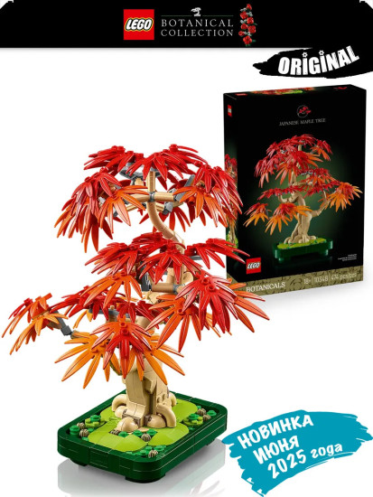 Botanicals Дерево бонсай: красный японский клен 10348