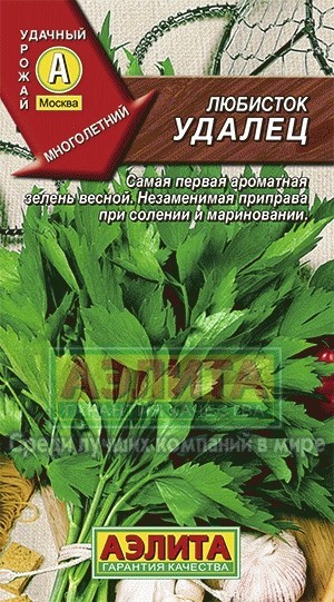 Семена. Любисток «Удалец»