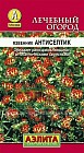 Семена. Язвенник «Антисептик»