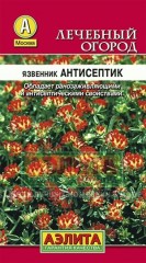 Семена. Язвенник «Антисептик»