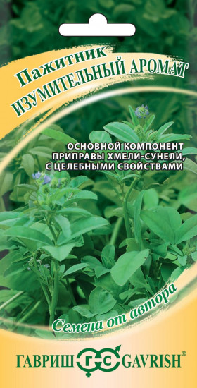 Семена. Пажитник голубой
