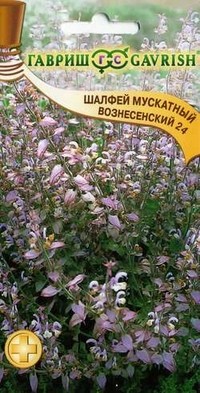 Семена. Шалфей мускатный