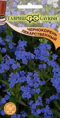 Семена. Чернокорень лекарственный