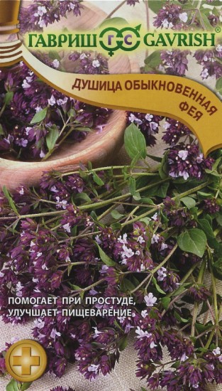 Семена. Душица обыкновенная «Фея», 0,1 г