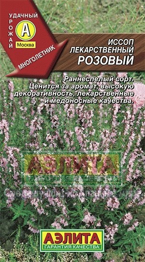 Семена. Иссоп лекарственный «Розовый», 0,1 г