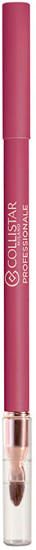 Карандаш для губ «Professionale Lip Pencil Long Lasting», тон 113 Autumn Berry