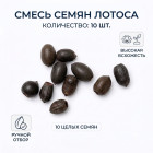 Смесь семян лотоса