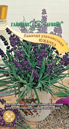 Семена. Лаванда узколистная «Южанка»