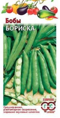 Семена. Бобы «Бориска», 10 шт
