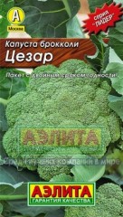 Семена. Капуста брокколи «Цезар»
