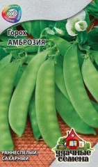 Семена. Горох «Амброзия», сахарный