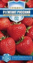 Клубника «Гигант русский F1», 5 шт