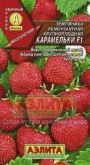 Земляника ремонтантная крупноплодная «Карамельки F1»