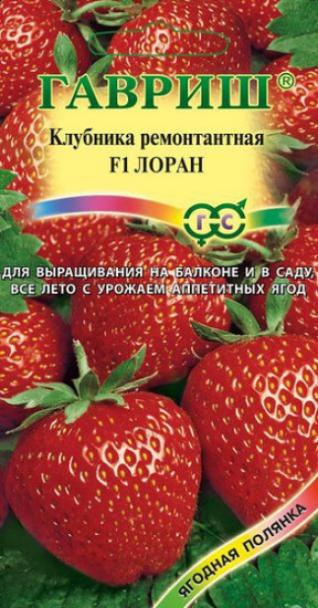Клубника ремонтантная «Лоран F1», 5 шт