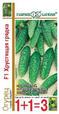 Семена. Огурец «Хрустящая грядка F1», 20 шт