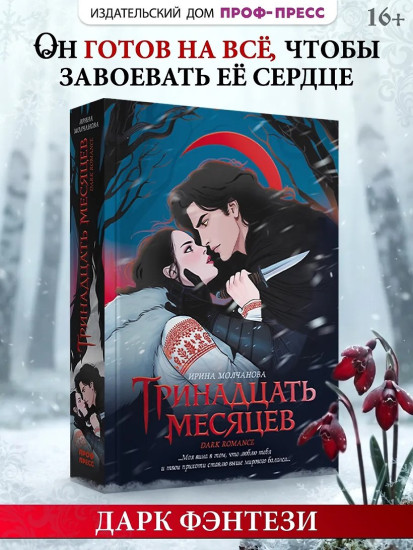 Тринадцать месяцев