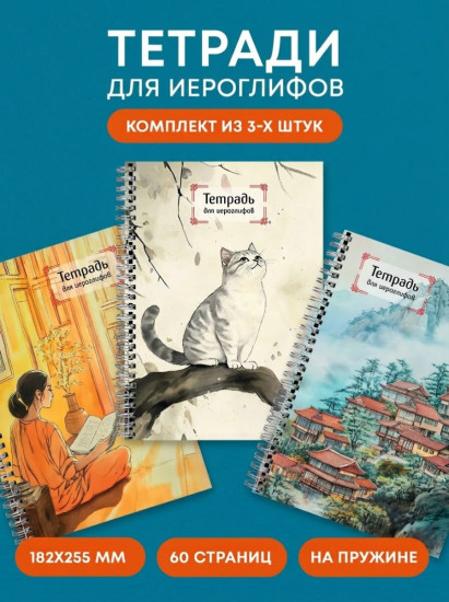 Комплект тетрадей для иероглифов