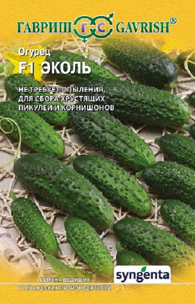Семена. Огурец «Эколь F1», 5 шт | Огурцы | Гавриш