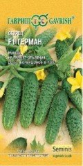 Семена. Огурец «Герман F1» (5 шт.)