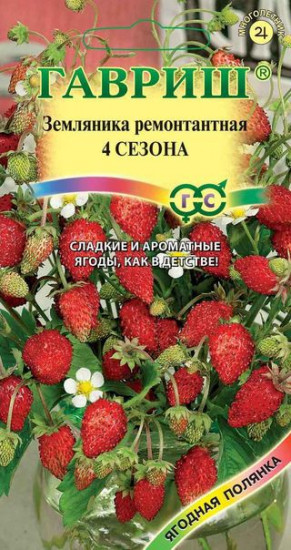 Земляника ремонтантная «Четыре сезона», 0,03 г