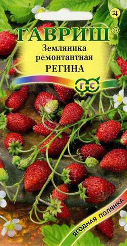 Земляника ремонтантная «Регина», 0,03 г