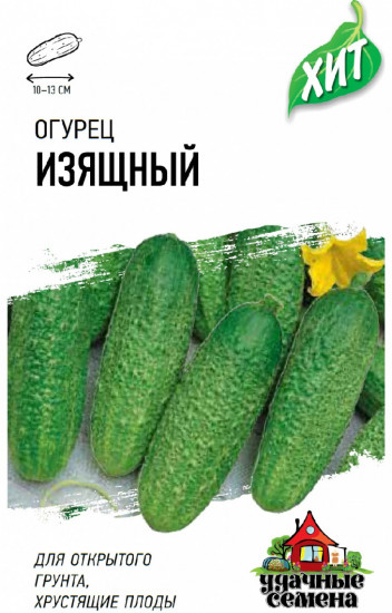 Семена. Огурец «Изящный»