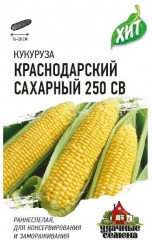 Семена. Кукуруза «Краснодарский сахарный CВ 250 F1»