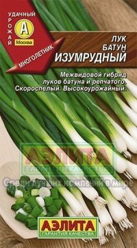 Семена. Лук батун «Изумрудный», 1 г