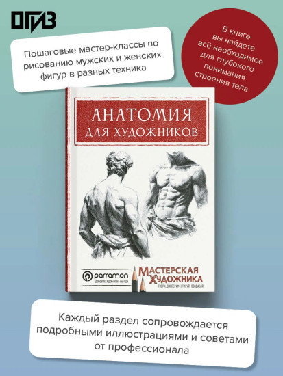 Анатомия для художников
