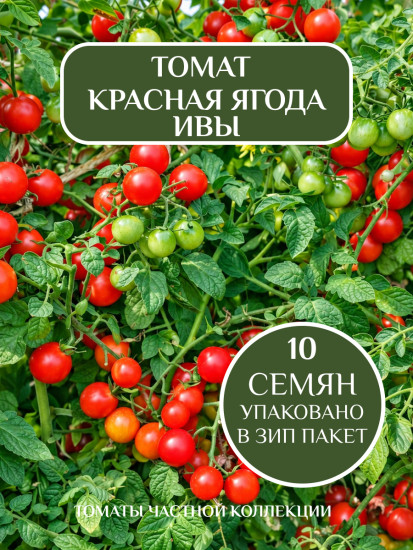 Коллекционные семена томата «Красная ягода Ивы»