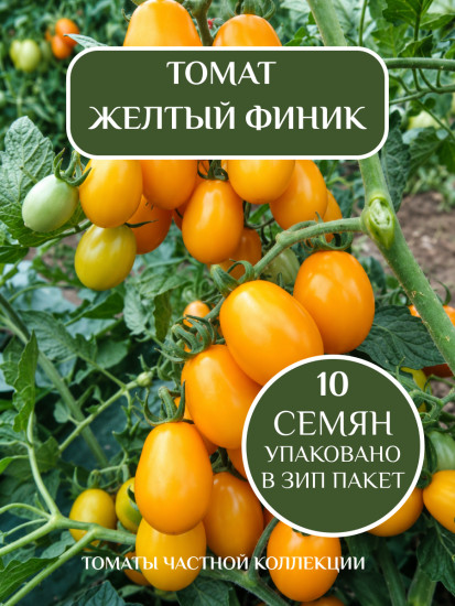 Коллекционные семена томата «Желтый финик»