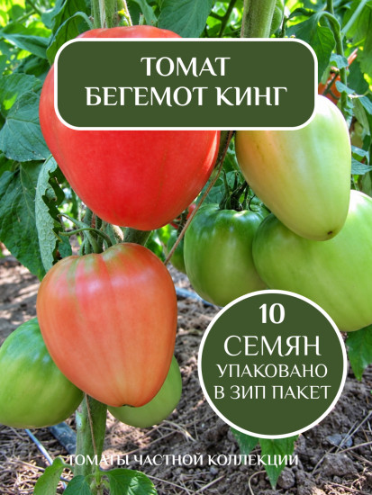 Коллекционные семена томата «Бегемот Кинг»
