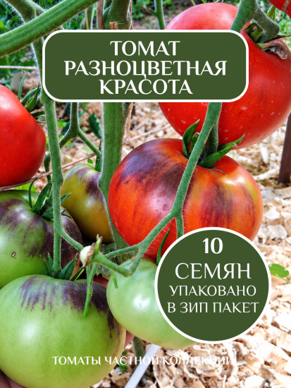 Коллекционные семена томата «Разноцветная красота»