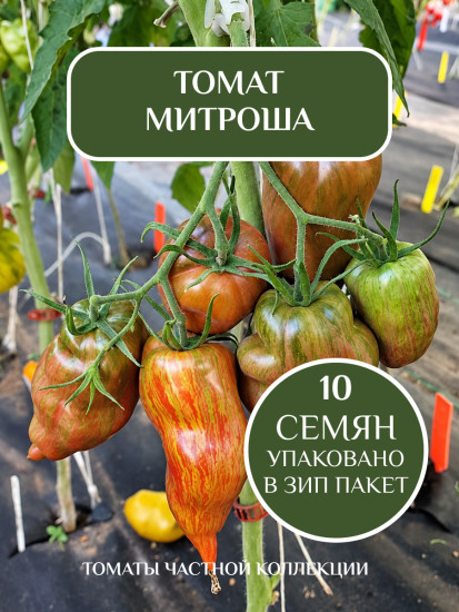 Коллекционные семена томата «Митроша»