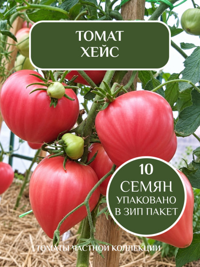 Коллекционные семена томата «Хейса»