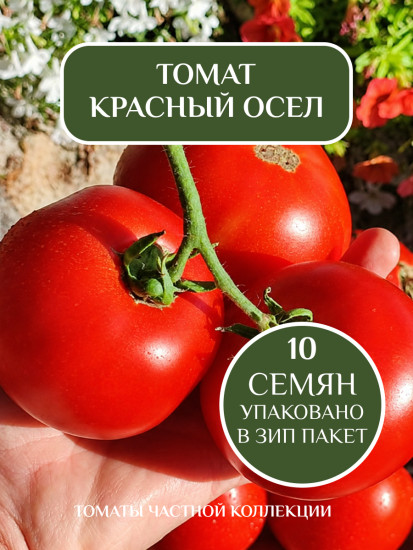 Коллекционные семена томата «Красный осел»