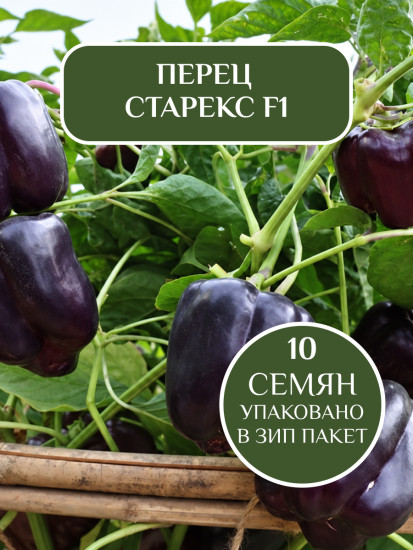 Перец сладкий «Старекс F1», 5 семян