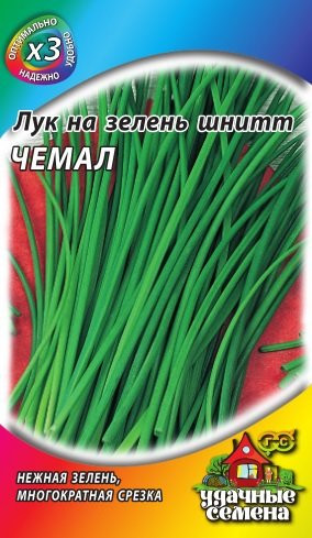 Лук шнитт «Чемал», 0,5 г